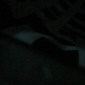 Meet your Posher, Kiara